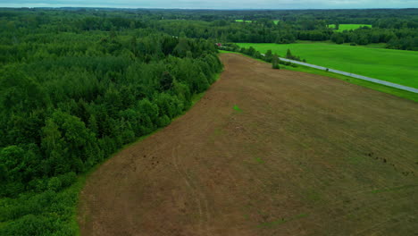 Un-Exuberante-Bosque-De-Coníferas-Se-Encuentra-Con-Tierras-Deforestadas-En-Una-Conmovedora-Vista-Aérea.