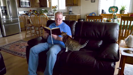 Un-Hombre-Intenta-Leer-Un-Libro-Mientras-Su-Gato-Pide-Atención