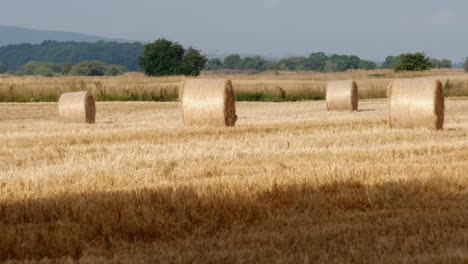 Schuss-Heuballen-Frisch-Aus-Schieben