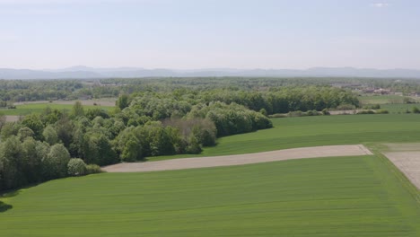 Dieses-Flache-Land-Und-Der-Grüne-Wald-Befinden-Sich-In-Bosnien-Und-Herzegowinien,-Einem-Wunderschönen-Ort-Mit-Vielen-Alten-Dörfern-Und-Atemberaubender-Natur.-Ganz-Hinten-Finden-Sie-Geschützte-Vögel-Und-Tiere