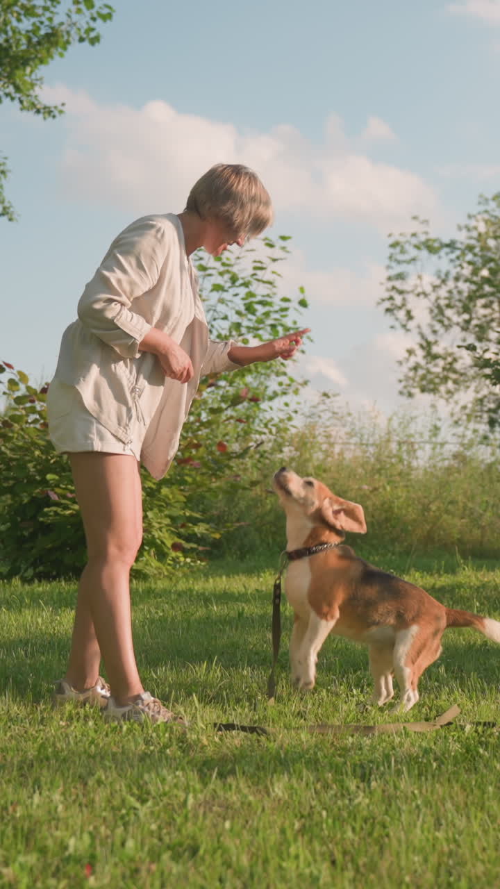 주인이 앉으라고 지시할 때 개가 주인의 손을 향해 점프하고, 개는 울창한 야외 정원에서 목에 을 걸고 순종합니다.