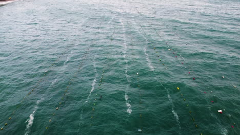 Aerial-top-down-view-of-fishing-farm-many-fishing-nets-lines-on-sea-surface