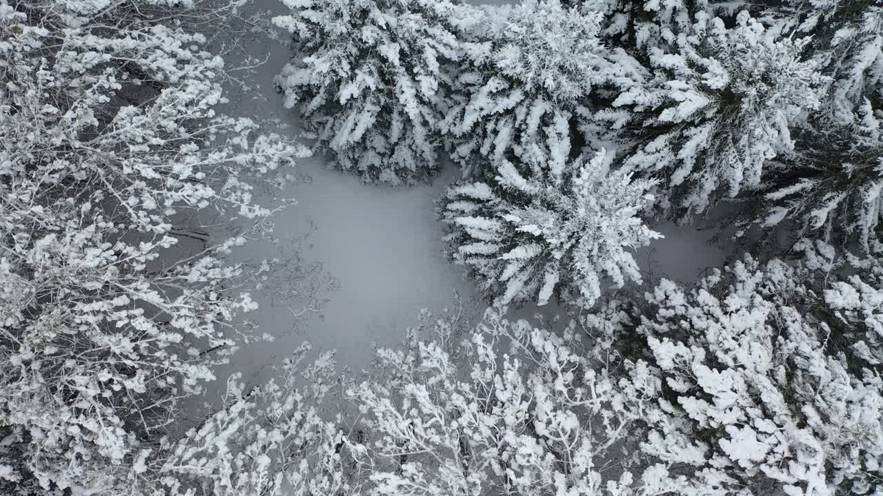 Vista aérea del bosque nevado