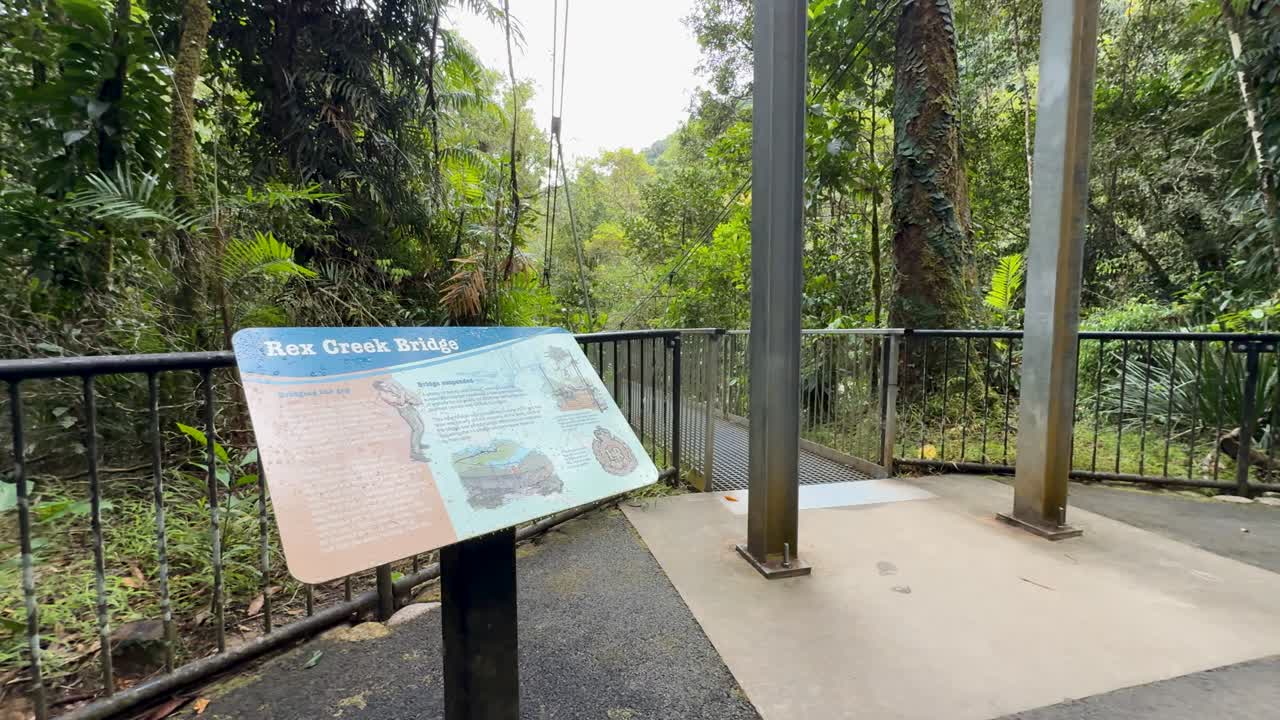 A serene view of lush rainforest from Rex Creek Bridge, highlighting informational signage and natural surroundings in Port Douglas