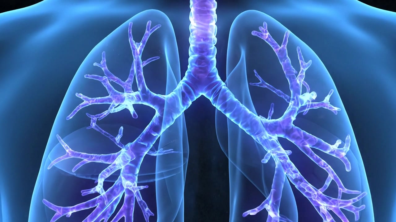 Glowing medical visualization of the human respiratory system with lungs