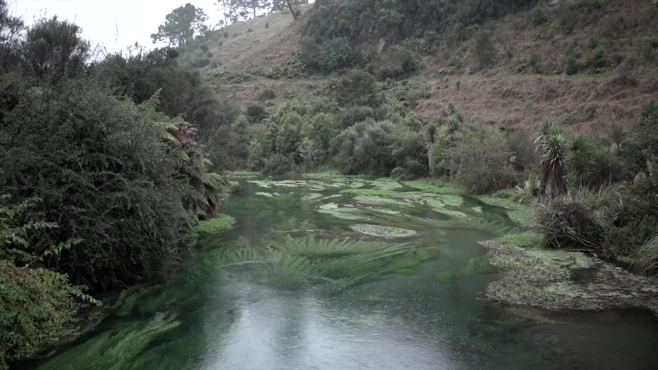 Scenic River Landscape