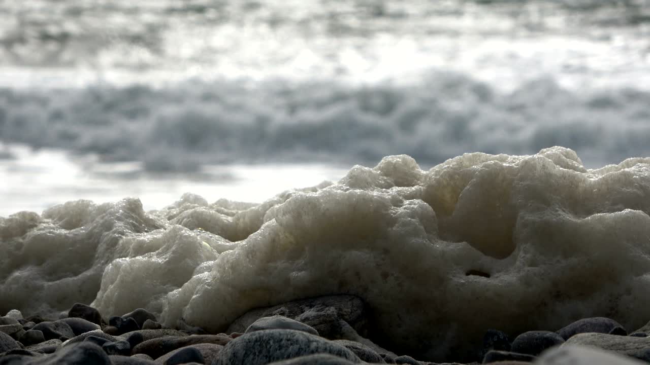 해변에서 폭풍의 해조류 거품, 파도와 함께 모래 해변, 북해, jütland, sondervig, 덴마크, 4k