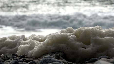 espuma de algas en tormenta en la playa, playa de arena con olas, mar del norte, jutlandia, sondervig, dinamarca, 4k