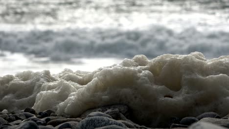 algae foam in storm on the beach, sandy beach with waves, north sea, jütland, sondervig, denmark, 4k