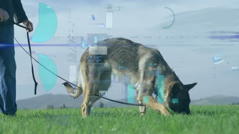 animation of financial data processing over caucasian man with dog in grass