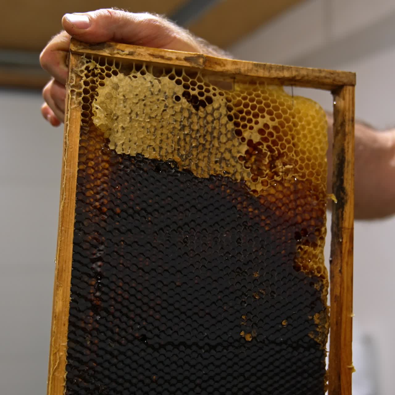 The layer of wax is removed with the help of electric knife appliance. Apiarist prepares frames with honeycombs for extracting honey