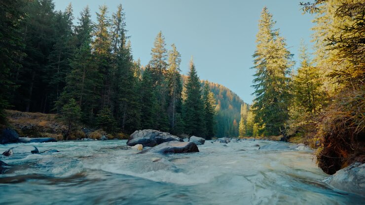 Mountain River in Autumn Forest