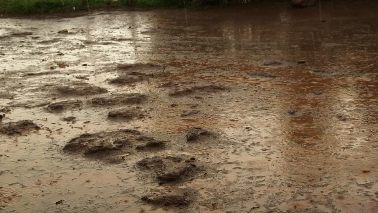 lluvia en el suelo fangoso de áfrica