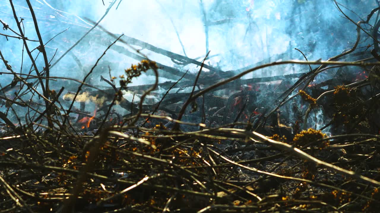Slow Motion of Burning Pile of Wooden Sticks and Twigs with Thick Smoke Rising Creating Foggy Atmosphere with Heat Distortion.
