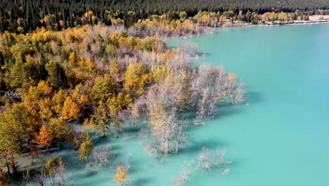 amazing autumn trees in blue water in canada