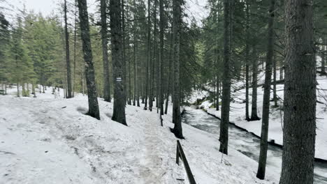 Camino-En-El-Bosque-Invernal-A-Lo-Largo-Del-Río-Tormentoso.-Nieve-Derritiéndose-En-Madera-Y-Pequeño-Sendero.