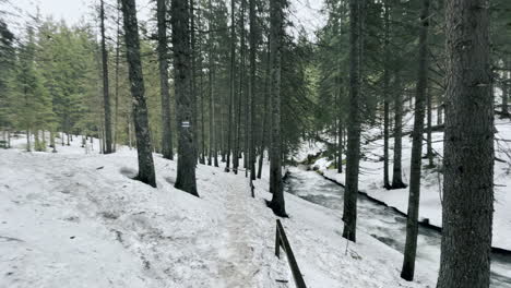 Straße-Im-Winterwald-Entlang-Des-Stürmischen-Flusses.-Schmelzender-Schnee-Im-Wald-Und-Winzige-Spur.