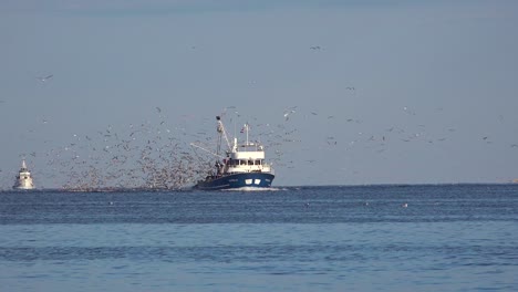 un barco de pesca moderno llega al puerto con cientos de gaviotas persiguiéndolo