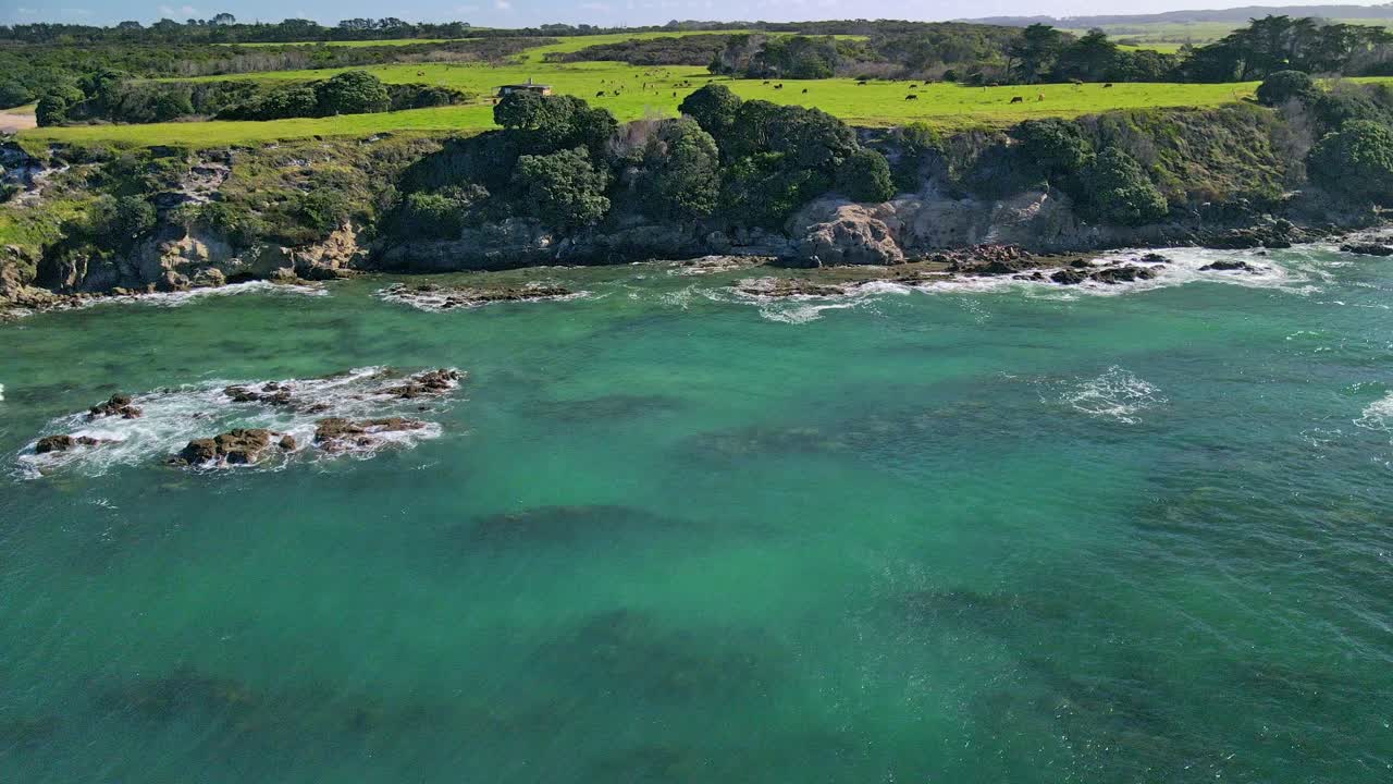 Aerial sideways drone shot of Rawera Beach and New Zealand coastline on a sunny day, showing blue ocean, rugged cliffs, green farmland, and cows grazing on grass above the cliffs