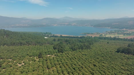 Toma-De-Drones-De-Campos-De-Aguacate-Cerca-De-Un-Lago-En-Michoacán.