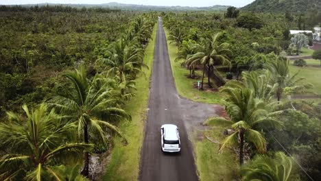 drone shot following a car driving through a tropical road lined with coconut trees and palm trees on the big island of hawaii