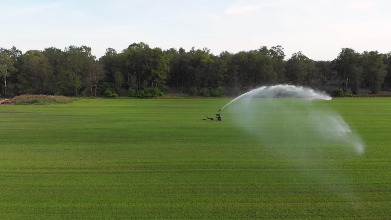 Irrigatore che innaffia le colture, sistema di irrigazione agricola di una fattoria olandese, vista aerea.