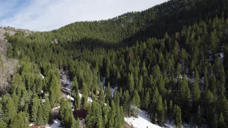 beautiful forest covered alpine mountain landscape, aerial flyover