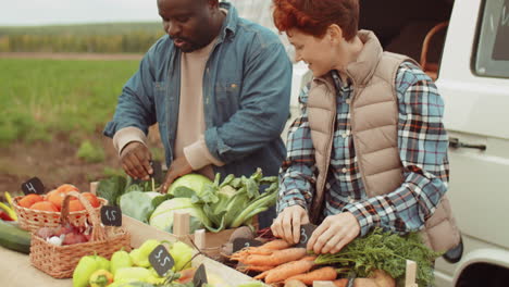 agricultores multiétnicos que ponen etiquetas de precios en las verduras para la venta
