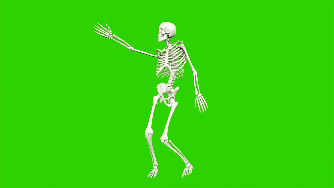 danza dello scheletro. animazione a loop senza soluzione di continuità sullo schermo verde.