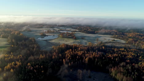 Herbstliche-Baumlandschaft-Mit-Frostbedecktem-Boden-Und-Niedrigen-Wolken