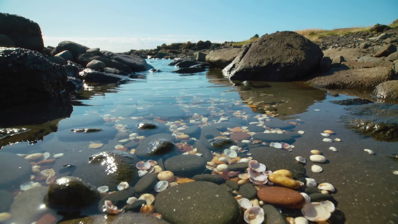 Kamera bevæger sig fremad, tidevandspøl afslører småsten, animerede overlejringer viser kanal til undervisning.