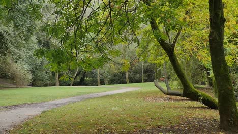 peaceful autumn park path