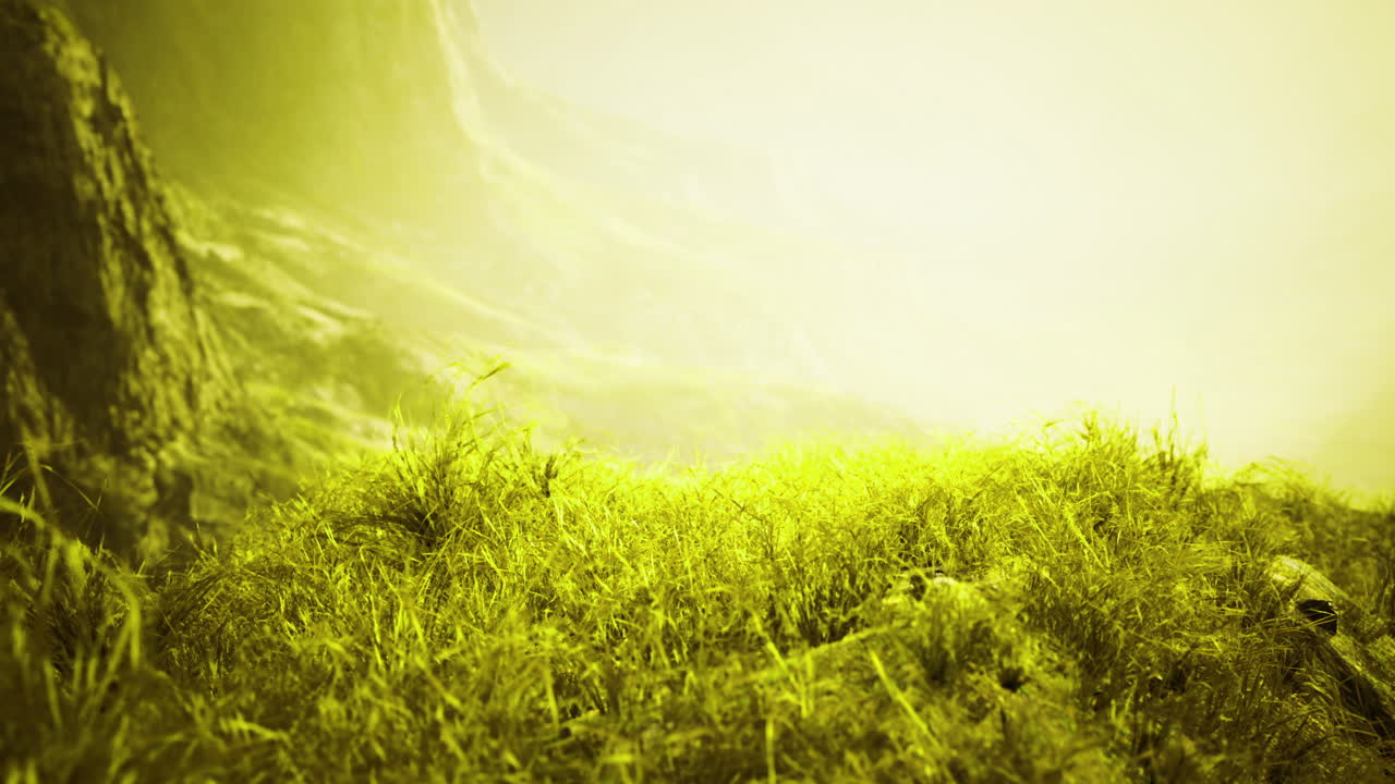 Green grass sways in the warm morning light by a rugged hillside
