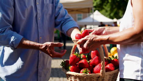 couple buying fresh strawberries at farmers market