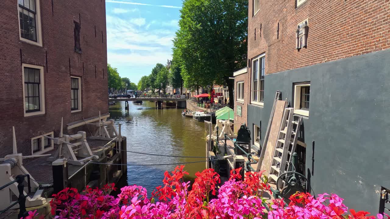 Daytime canal scene with vibrant flowers, old brick buildings, and calm water in Haarlem