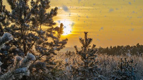 nieve cayendo naturaleza bosque árboles paisaje en blanco soleado día de invierno estado de ánimo. luz y brillante nieve tiempo frío, circuito de video, circuito de vídeo cinemagraph