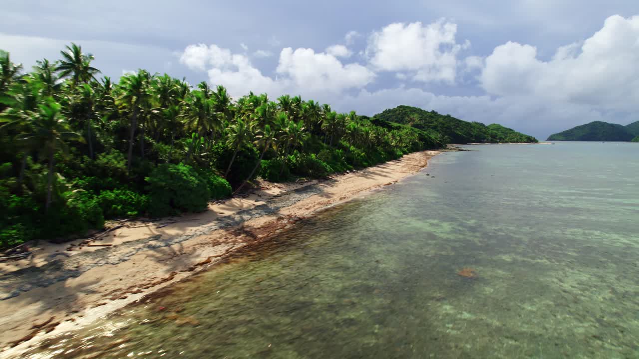 playa de una isla tropical, palmeras y arrecifes de coral en marea alta, yasawa, fiji