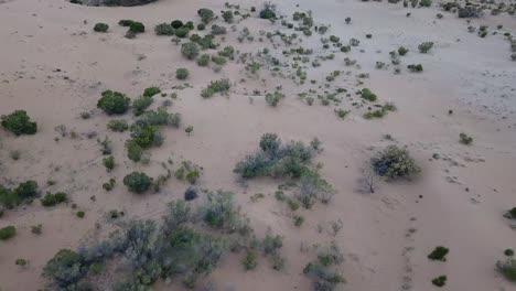 Outdoor-Naturdrohnenantenne-über-Weißen-Sandhügeln-Australisch