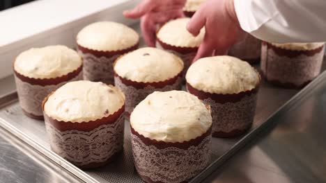 unbaked easter bread (kulich) on baking sheet