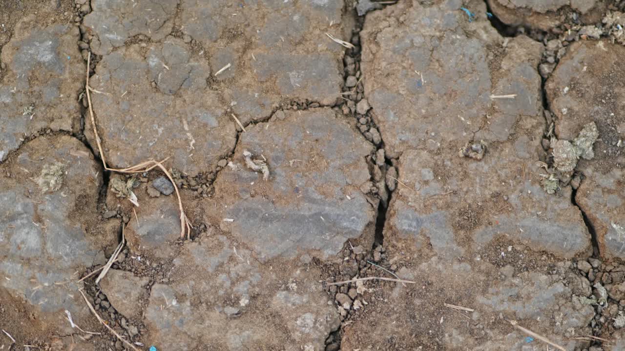 Vista ravvicinata della superficie di terreno secco e screpolato e della texture di terra con erba secca. Di giorno, inquadratura panoramica, 4K