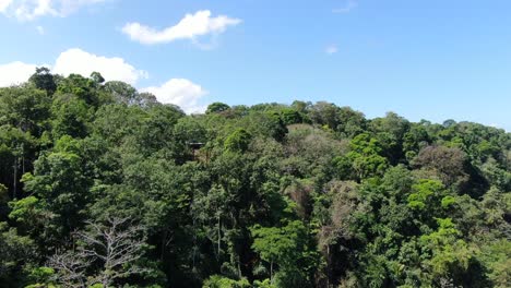 Costa-Rica-beach-drone-view-showing-shore-and-palm-tree-forest-in-Corcovado-National-Park-on-Osa-Peninsula-on-a-sunny-day-in-the-pacific-ocean