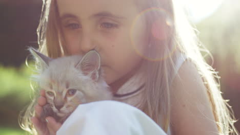 close-up view of a little cute girl sitting on green grass and petting a white cute kitty cat in the park