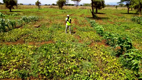 Ländliche-Landwirtschaftliche-Betriebe-In-Kenia