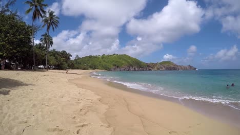 Erstaunliche-Klare-Wellen-Aus-Dem-Klaren-Atlantik-Auf-Dem-Mit-Palmen-Bedeckten-Plage-Tartane-In-Martinique-An-Einem-Heißen,-Teilweise-Bewölkten-Sommertag