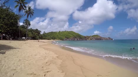 asombrosas olas claras del océano atlántico claro en la plage tartane cubierta de palmeras en martinica en un caluroso día de verano parcialmente nublado