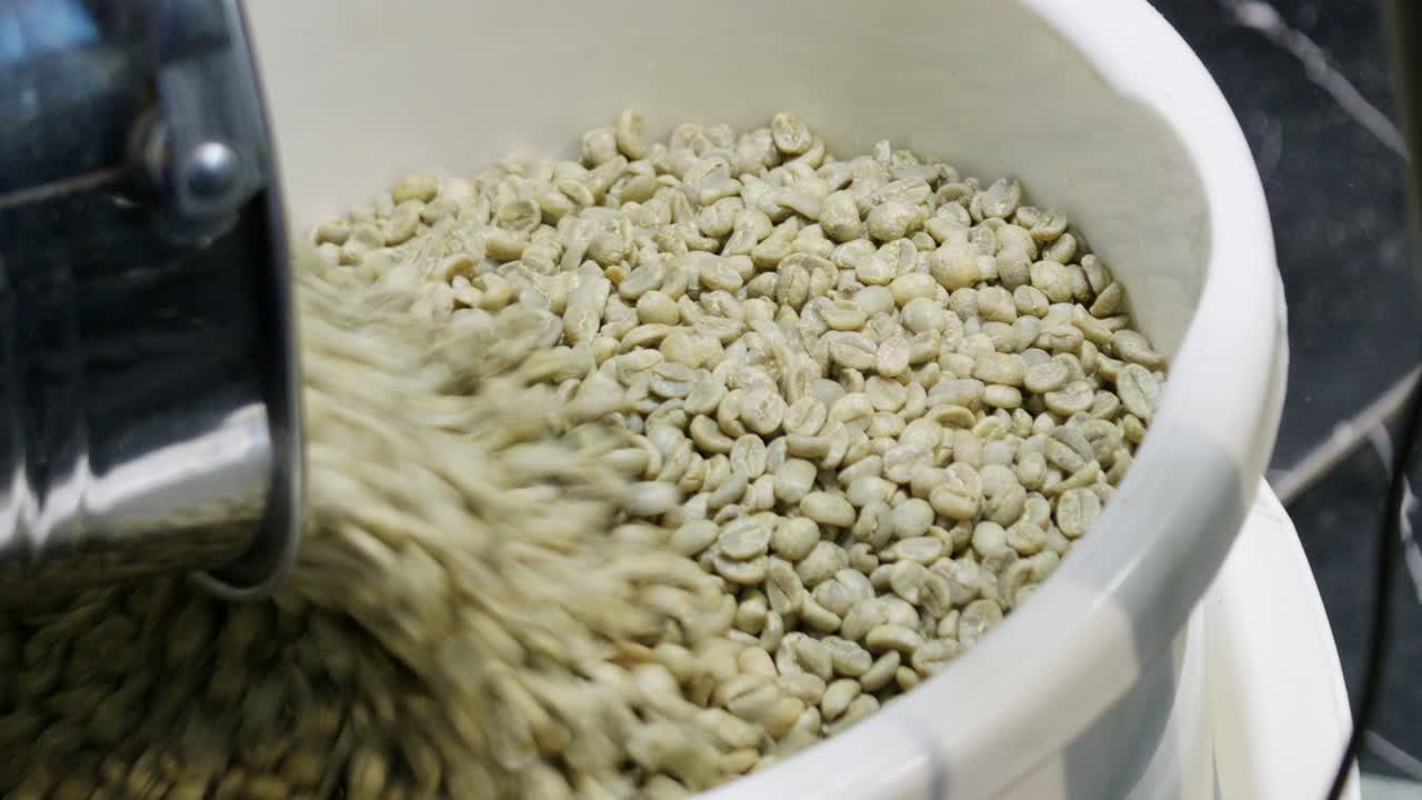 A detailed view of coffee beans being harvested showcasing sustainable farming methods.