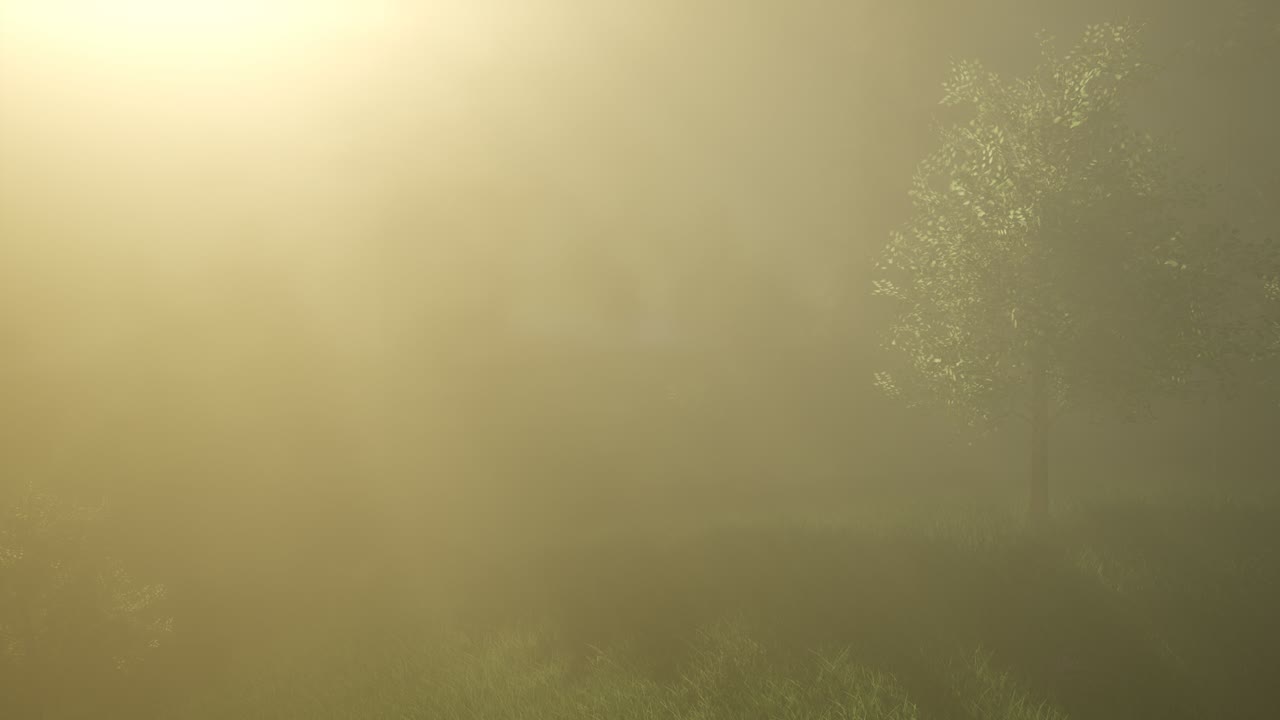 반 ⁇ 이는 마법의 숲