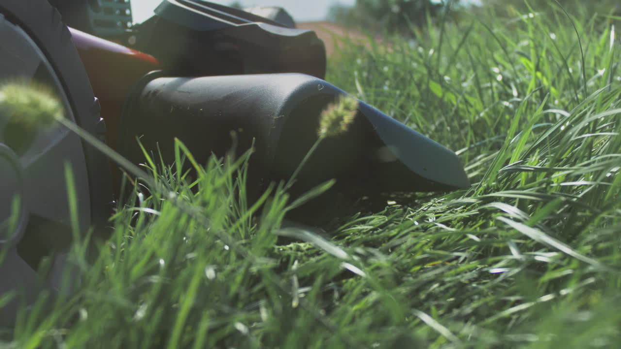 잔디를 잘라내는 잔디 기 기계