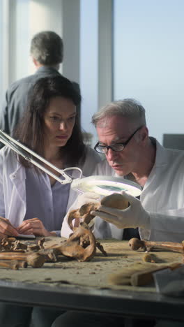 archaeologists examining human remains