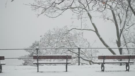 the light first snow covers benches, trees, ground, and railing on the viewing platform in the park